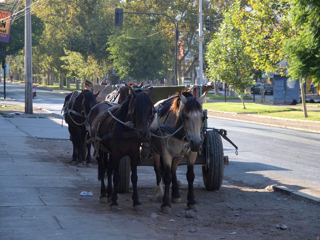 Los Andes3.jpg